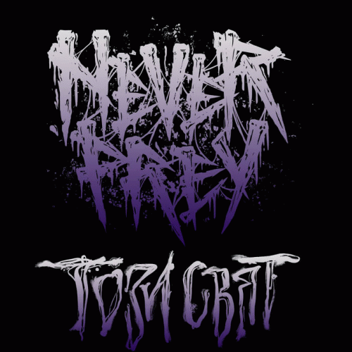 Never Prey : This World